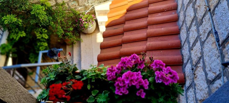 Bed & Breakfast Dionis Vis Exterior photo